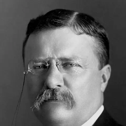 Theodore Roosevelt